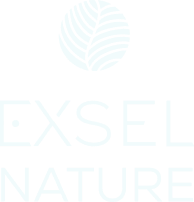 Logo-Exsel-nature-bl