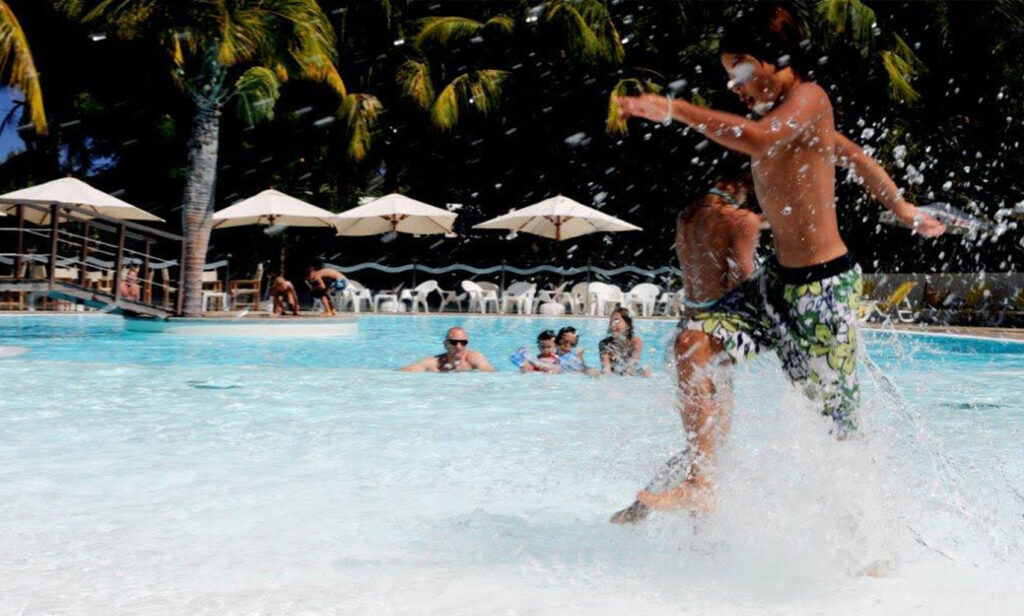 roseaux des sables avantages floralys