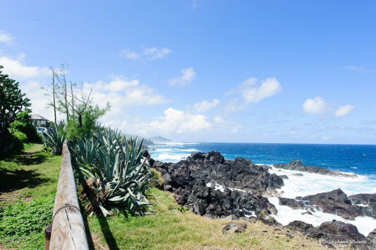 Exsel Victoria Environs (3)